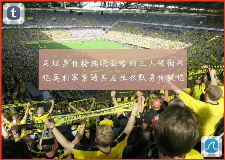 足坛身价榜揭晓亚哈姆三人领衔两亿奥利塞紧随其后帕尔默身价破亿